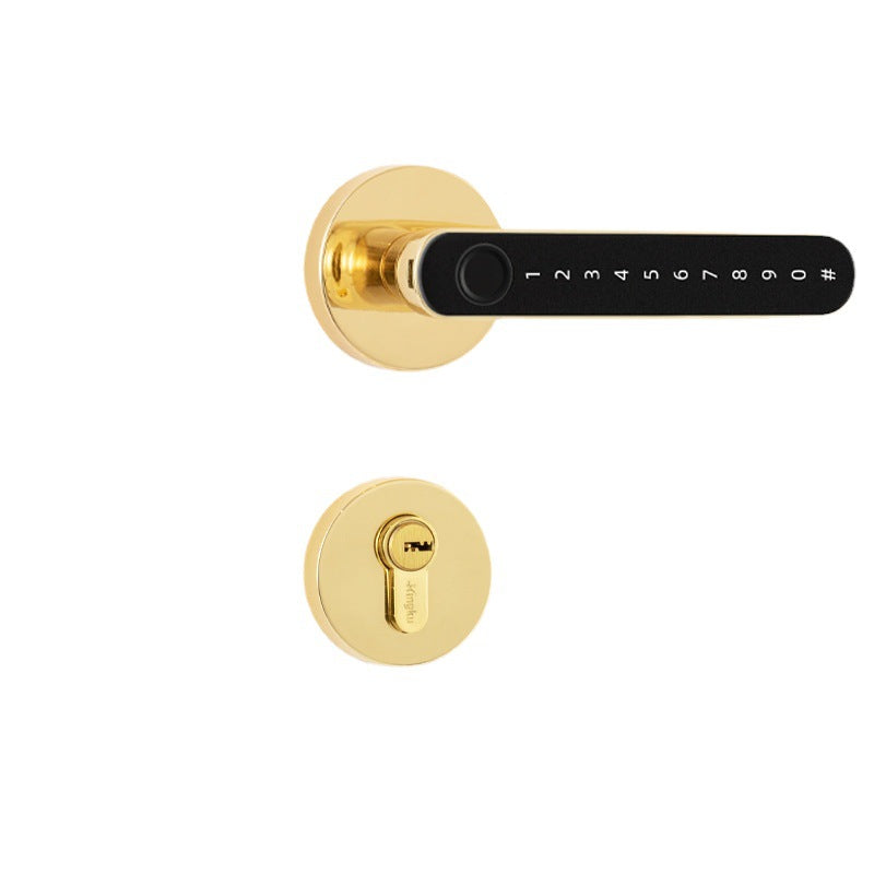 Smart Biometric High-Security Lock (Model: N-7493)