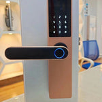 Wooden Door Fingerprint Lock Graffiti Pass (Modelo: N-3109)