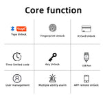 Pomo Biométrico Bluetooth Tuya — 5 Métodos de Acceso para Recámara y Oficina