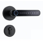 Cerradura Inteligente Biométrica de Alta Seguridad (Modelo: N-7493)