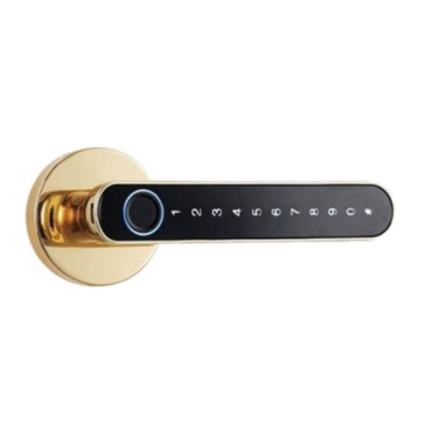 Cerradura Inteligente Biométrica de Alta Seguridad (Modelo: N-7493)